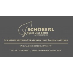 Schöberl Blüten und Blätter